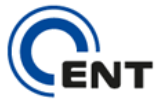 Cent Consulting | SAP ABAP Outsourcing, Training, Consultants